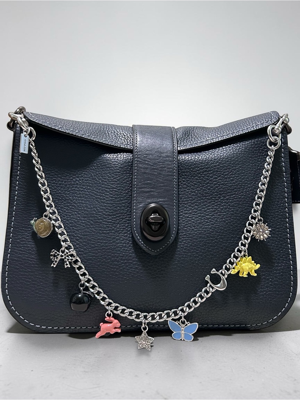 COACH Charm Chain Strap/Bag Jewelry